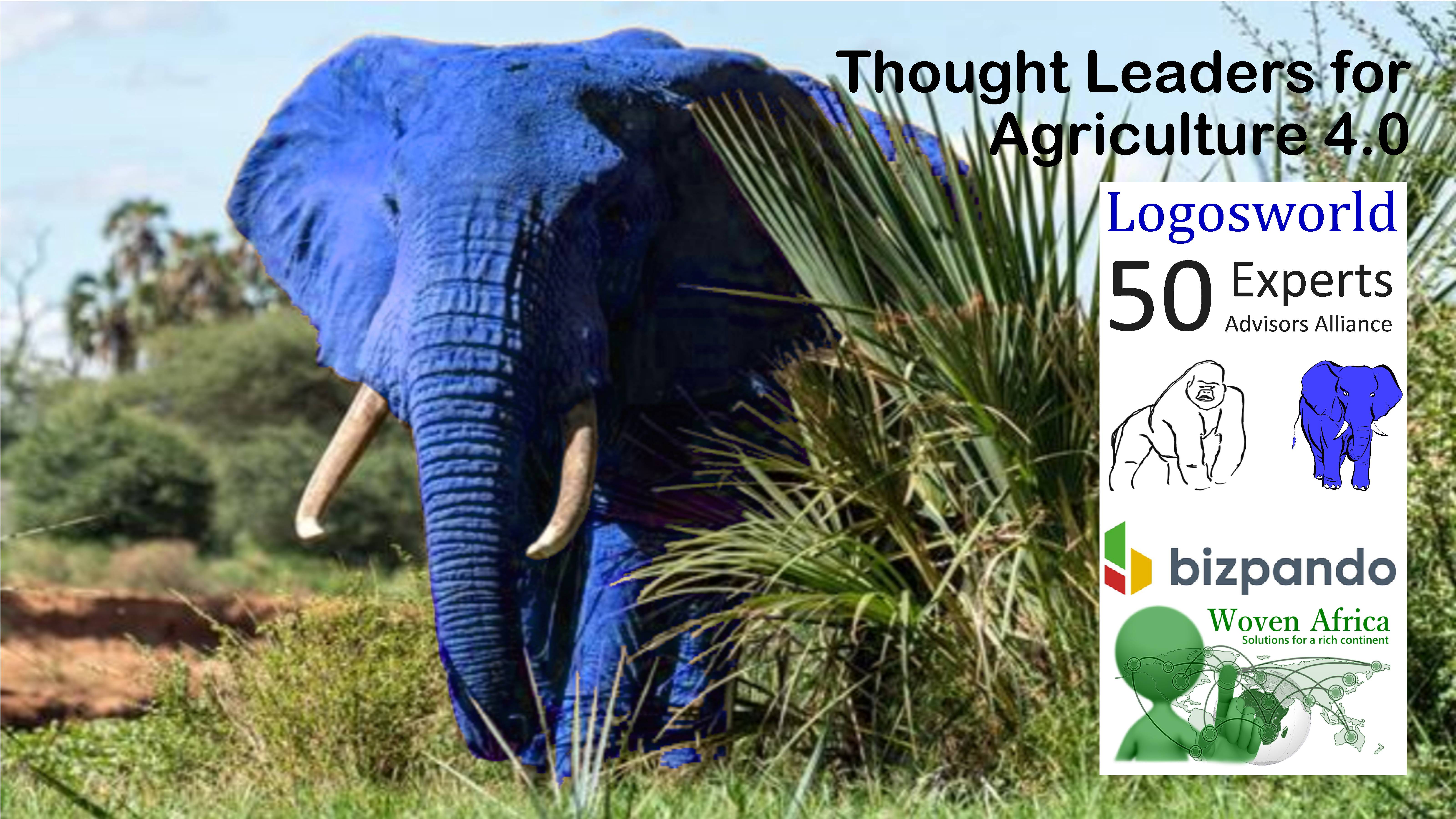Blue Elefant