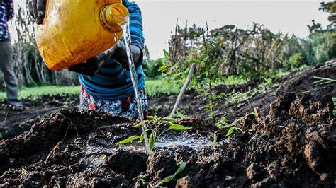 Agri Ecology