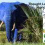 Blue Elefant